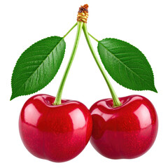 Two vibrant red cherries, glossy and plump, attached to a stem with two fresh green leaves