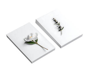 Two pristine white books, one adorned with a jasmine blossom, the other with a sprig of rosemary, rest on a stark white background
