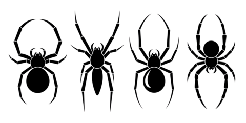 Set of Halloween spiders