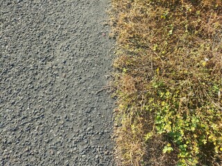 Top-down view of textured asphalt meeting dry grass and green plants. Ideal for themes of contrast, nature vs. urban, boundaries, or environmental transitions