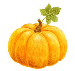 Pumpkin with green leaf. Thanksgiving or Harvest Day card design. Watercolor drawing.