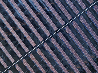 Solar photovoltaic panels on the water