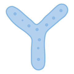 Bifidobacterium Probiotic Bacteria