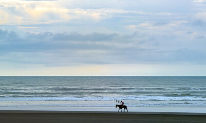 Horse Silhouette on Beach at Afternoon under Clear Blue Sky