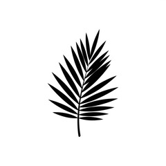 Black Palm Leaf Silhouette