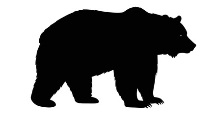 A black bear silhouette stands in stark contrast to a white background