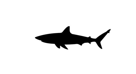 A black silhouette of a shark swimming against a plain white backdrop