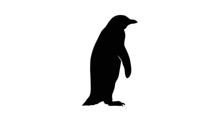 A silhouette of a penguin is standing against a white background