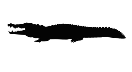 A silhouette of an alligator with its mouth open shows its teeth