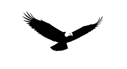 Black silhouette of a soaring eagle with wings spread white head detail against a stark white background