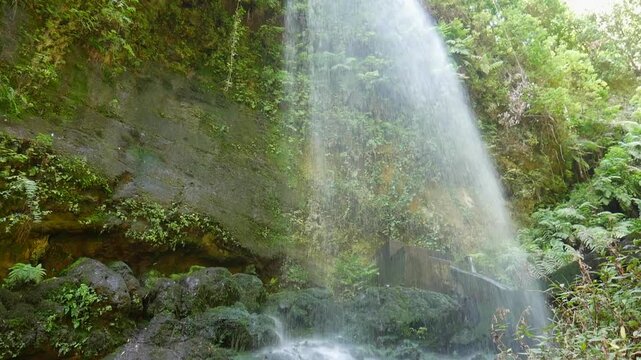 Majestic Los Tilos waterfall cascading down a mossy rock face in a lush green rainforest in Spain