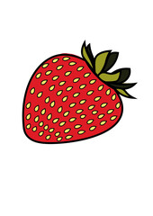 STRAWBERRY ILLUSTRATIONS