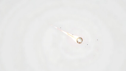 drop of milk
