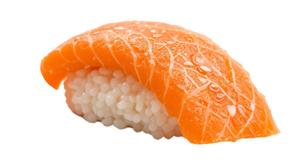 Salmon Nigiri Sushi with Fresh Slice on Rice Isolated PNG