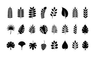 Collection of Black Silhouette Tropical and Botanical Leaf Icons