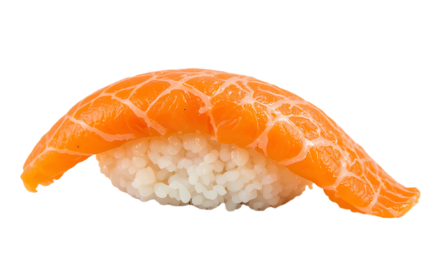 Salmon Nigiri Sushi with Fresh Slice on Rice Isolated PNG