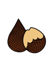 SNAKEFRUIT ILLUSTRATIONS