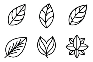 Minimal line art summer leaves collection vector illustration