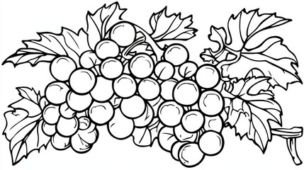 95.A simple, fun grape coloring page for young children, featuring line art of a grape bunch with large, bold outlines. The grapes are drawn in a simplified style, making them easy for young kids to