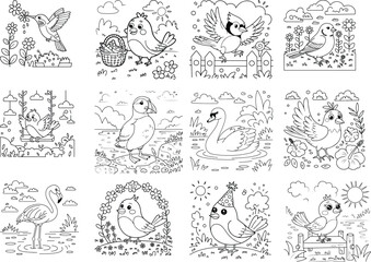 Charming outline art of playful birds and waterfowl featuring a hummingbird and cardinal isolated on white background