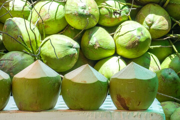 Young coconuts, whose fruit is eaten for its juice and flesh, help quench thirst, cool down, and refresh.
