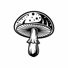 Detailed black and white illustration of a mushroom with gills and spots. © art.Co