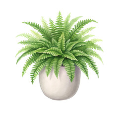 Lush green fern leaves grow vibrantly in simple white potted plant adding fresh natural beauty to any space