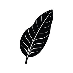 Banana Leaf Vector Silhouette Isolated on White Vector Illustration