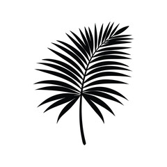 Palm Leaf Vector Silhouette Isolated on White Vector Illustration