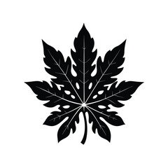 Papaya Leaf Silhouette Isolated on White Vector Illustration