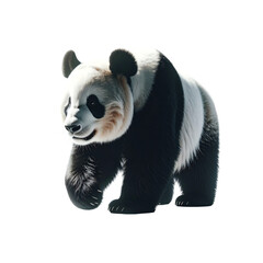 Obraz premium A photorealistic rendering of a young giant panda, walking, slightly angled, showcasing its distinctive black and white fur, round ears, and charming expression