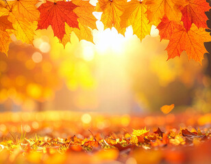 autumn, background, leaves floor focus fog frame gold golden greeting ground harmonious harvest horizontal indian late leaf maple natural neutral november oak october outdoors pathway pattern peaceful