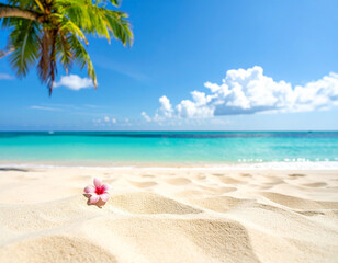 beach, sea, sand, palm, tree, ocean, caribbean wave outdoors travel destination horizontal coconut resort idyllic relax color image beauty in nature escape empty cloud calmness serene maldives