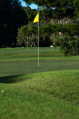 Obraz premium Green fairway curves of a golf course with flag in the hole - vertical