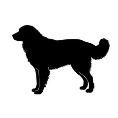 Vector silhouette of a dog standing, detailed fur outline, isolated on white background. Perfect for pet design, animal logo, and graphic illustration