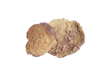 Cistanche deserticola on white background