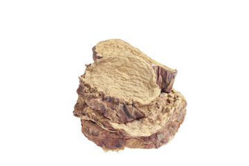 Cistanche deserticola on white background