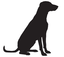 Silhouette of a Sitting Dog