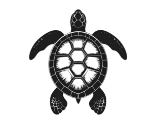 Minimal Turtle Silhouette Top View Transparent