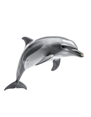 A sleek, grey dolphin leaps gracefully, its body arched, showcasing a lighter underbelly and a defined dorsal fin against a black backdrop