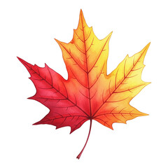 Obraz premium Watercolor maple leaf in autumn colors, isolated on transparent background