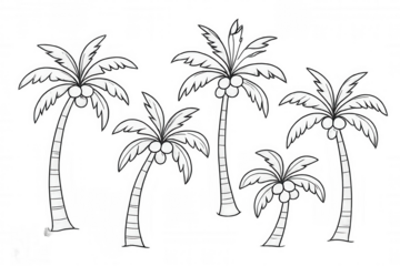 Palm tree coconut icons set, tropical summer vacation island symbol, hand drawn black and white line art