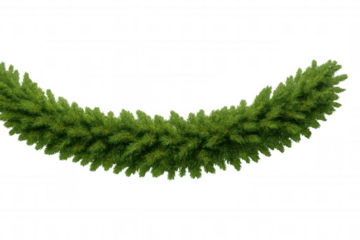 Christmas garland illustrating holiday season, festive decoration, winter celebration, pine needles, evergreen swag, transparent background