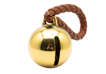 Polished gold bell with a braided brown leather cord against a black background.