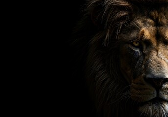 Naklejka premium Powerful lion close up