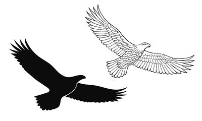 Fototapeta premium Eagle vector illustration. This image features two eagles, one a solid black silhouette and the other a detailed line drawing. Both birds are in flight, wings spread, against a white background. 