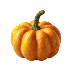 Small Pumpkin for Transparent Background