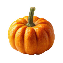Perfect Mini-Pumpkin