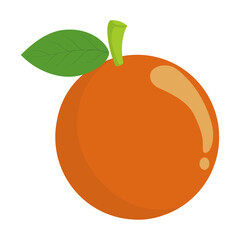 this is a vector image of an orange fruit
