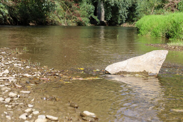 A summer landscape depicting a clear river with a large white stone in the foreground, partially submerged in the water.